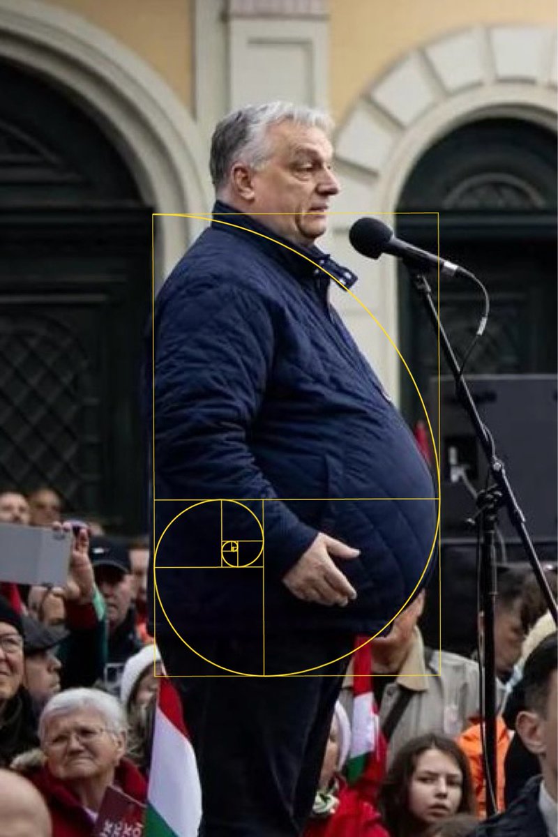 Josh Rainer tweet media