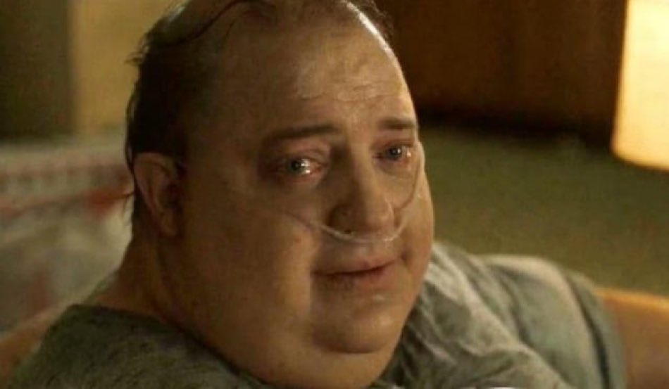 shadoomf🪲🇵🇸(homunculus enjoyer) tweet media