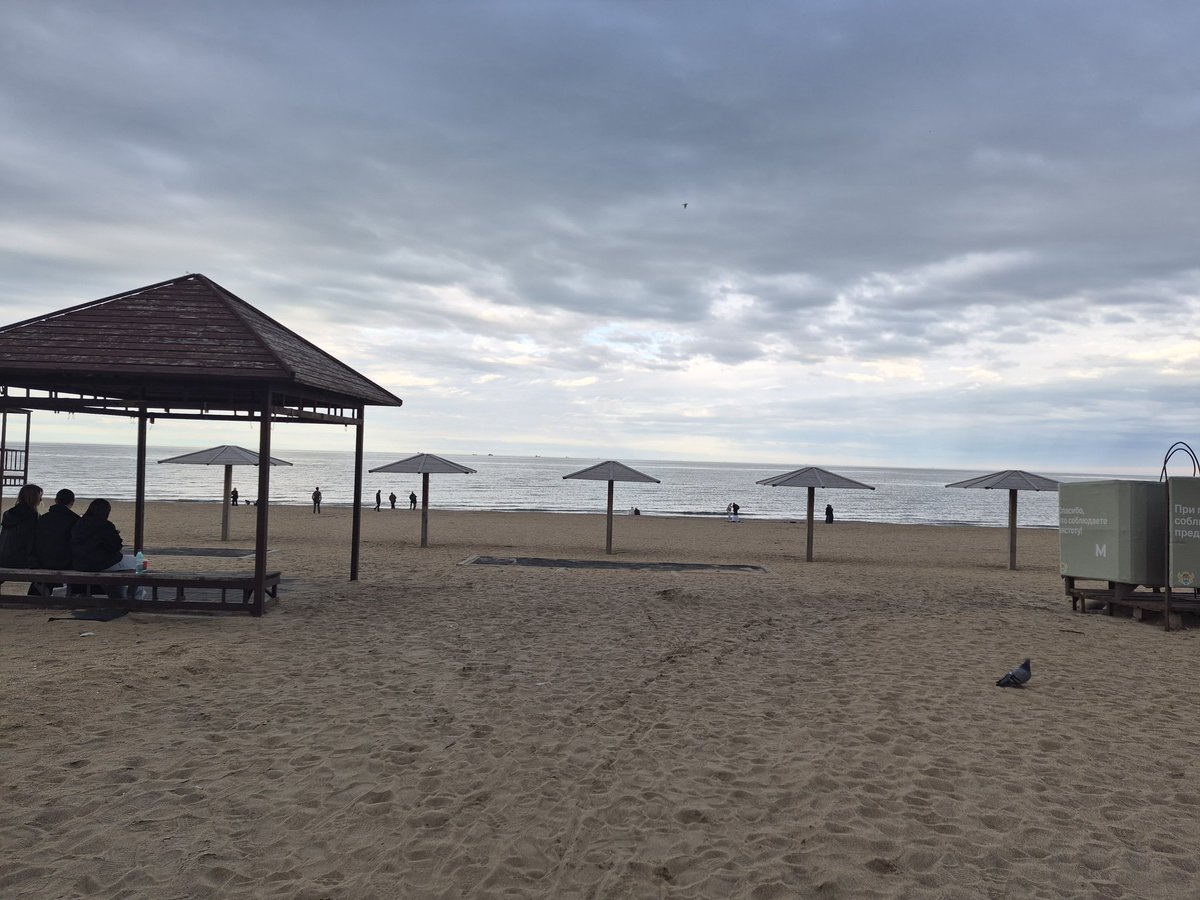 Ведьма.🐉🪼 tweet media