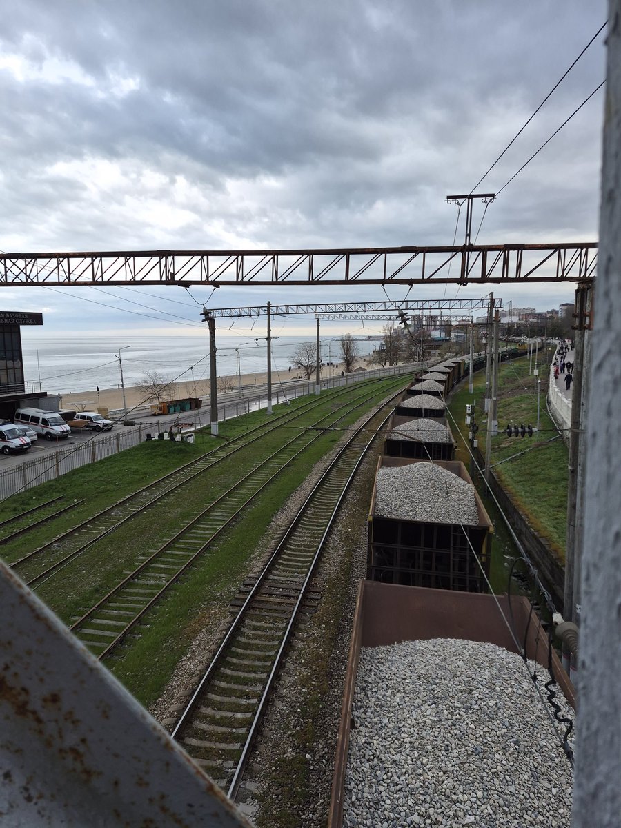 Ведьма.🐉🪼 tweet media