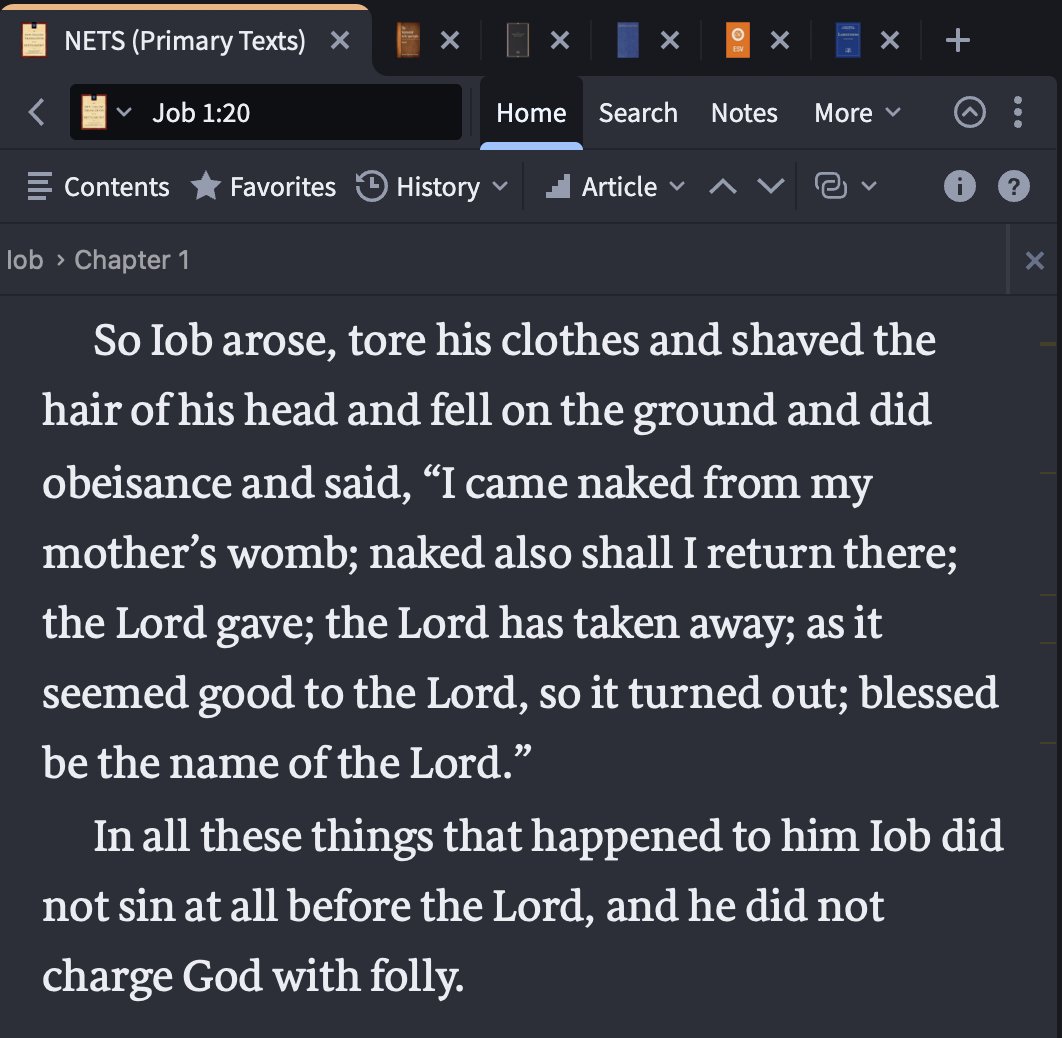 🗿 Woe to those who dwell upon the earth 🗿 tweet media