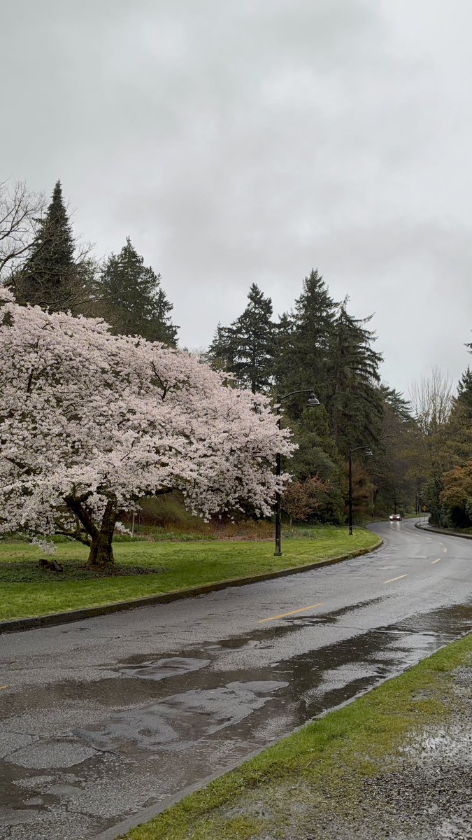 Marwan A. Almalki tweet media