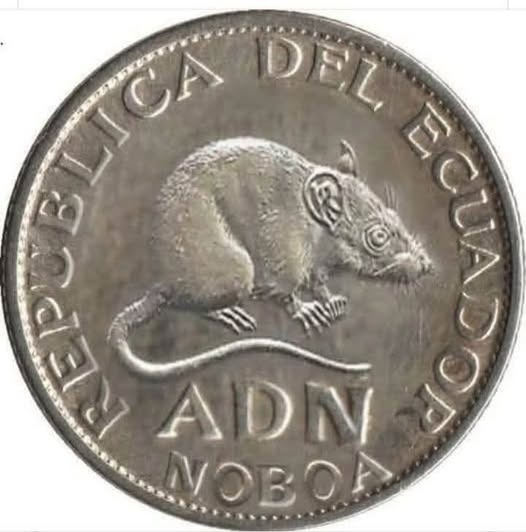 Seguimos en la lucha por el pueblo ecuatoriano tweet media