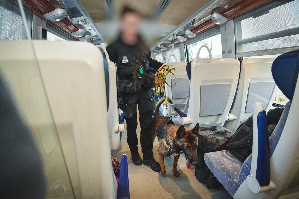 Gendarmerie du Morbihan tweet media