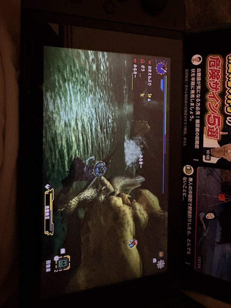 はっぴーすまいる！！🍅✨(🦭) tweet media