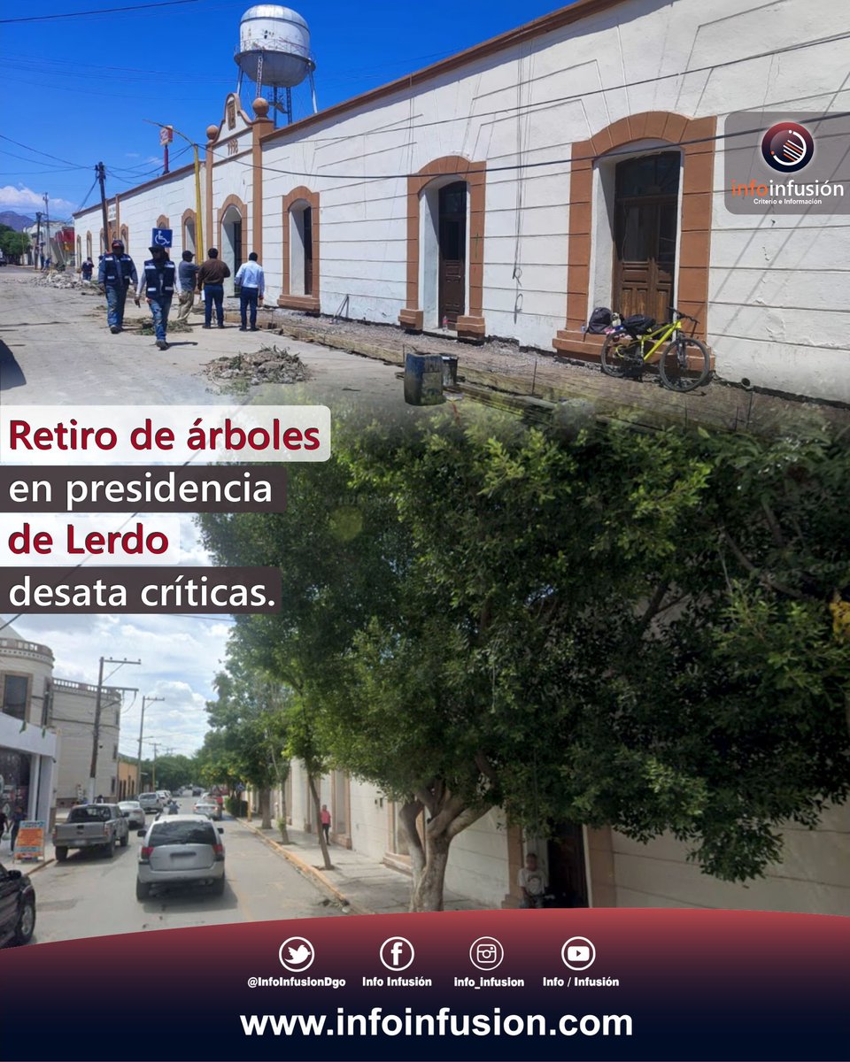 Infusión tweet media