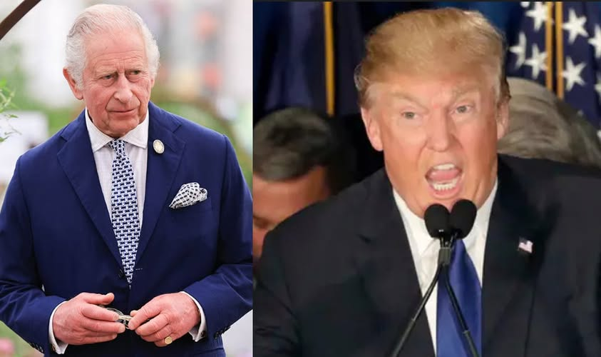 Occupy Democrats tweet media