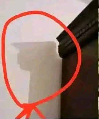 PHUTI SEMENYA®🇿🇦 ⚖️ tweet media