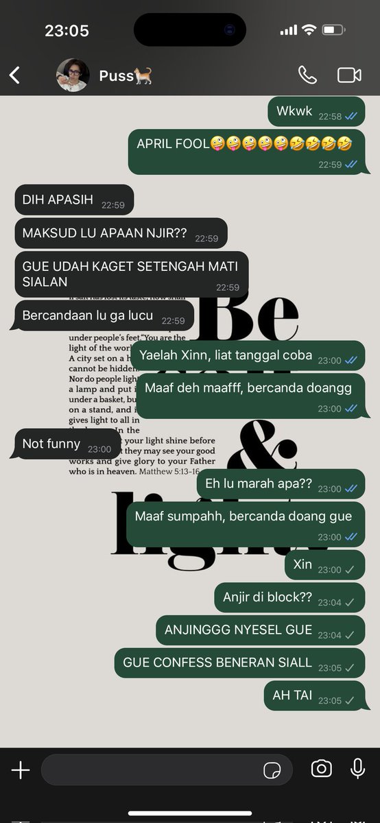 swann🦢 tweet media