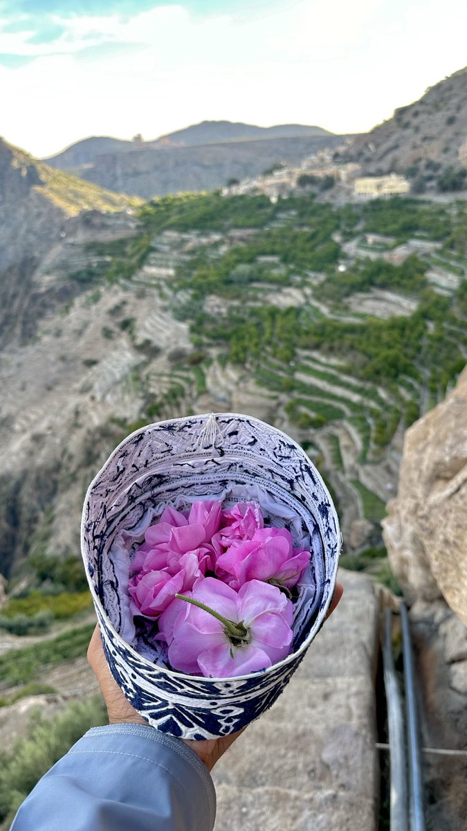 ‏﮼عبدالعزيز ﮼🫀💉 tweet media