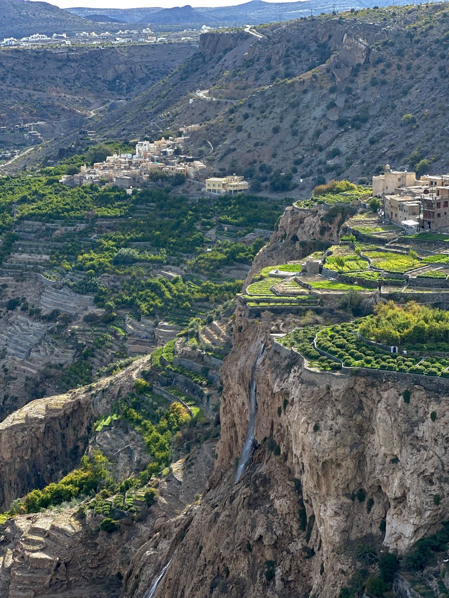 ‏﮼عبدالعزيز ﮼🫀💉 tweet media