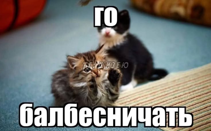 Ведьма.🐉🪼 tweet media