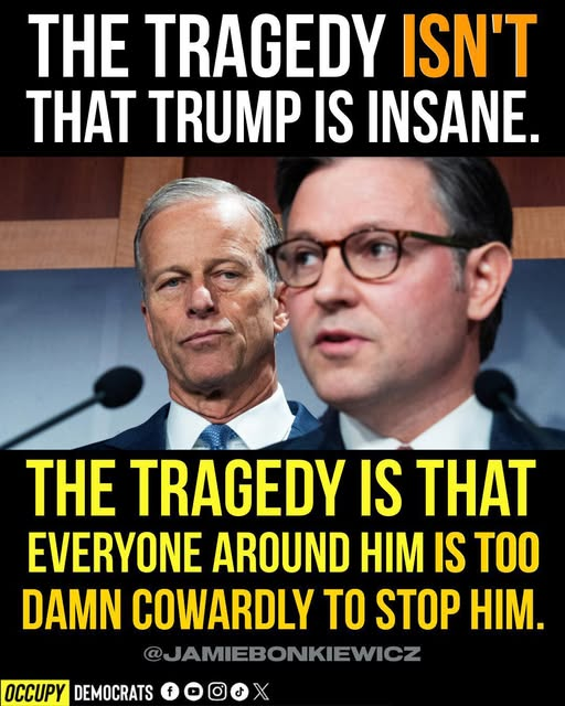 Occupy Democrats tweet media