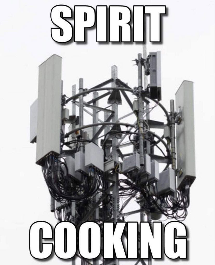 rabbitholebot tweet media