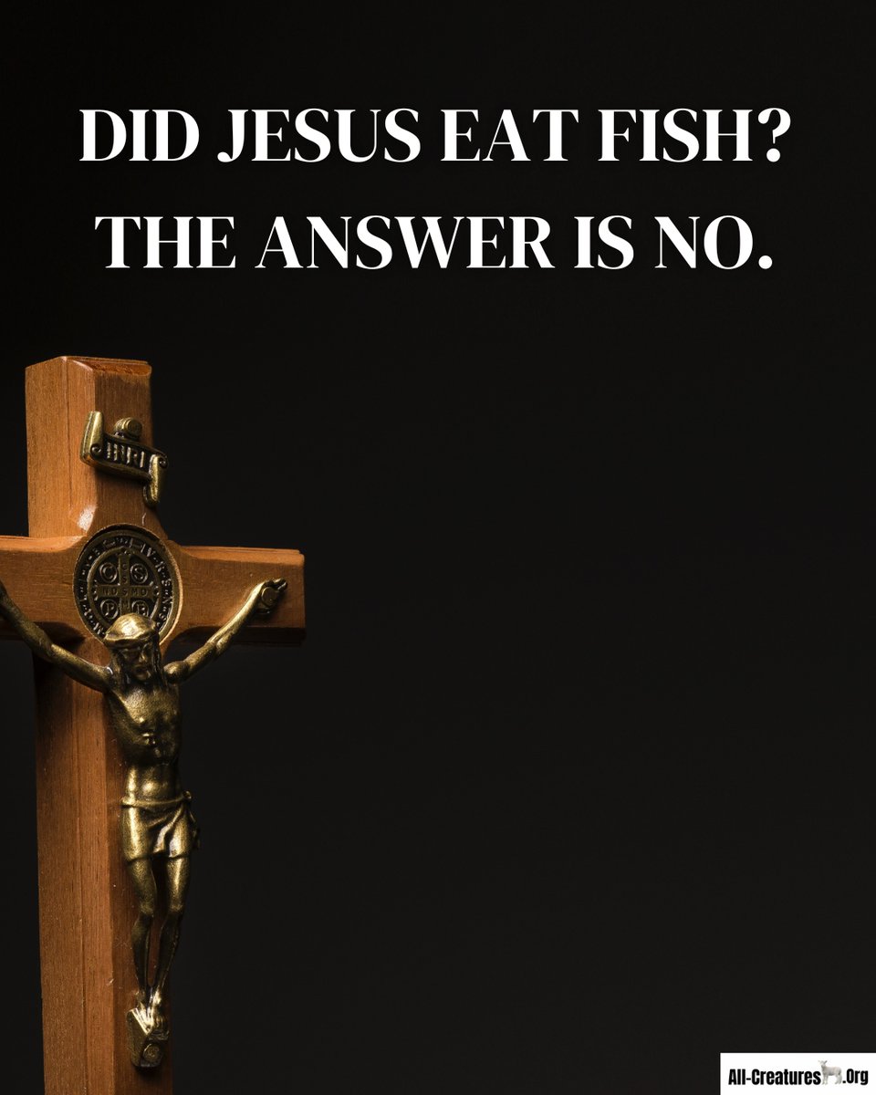 AllCreaturesDotOrg tweet media