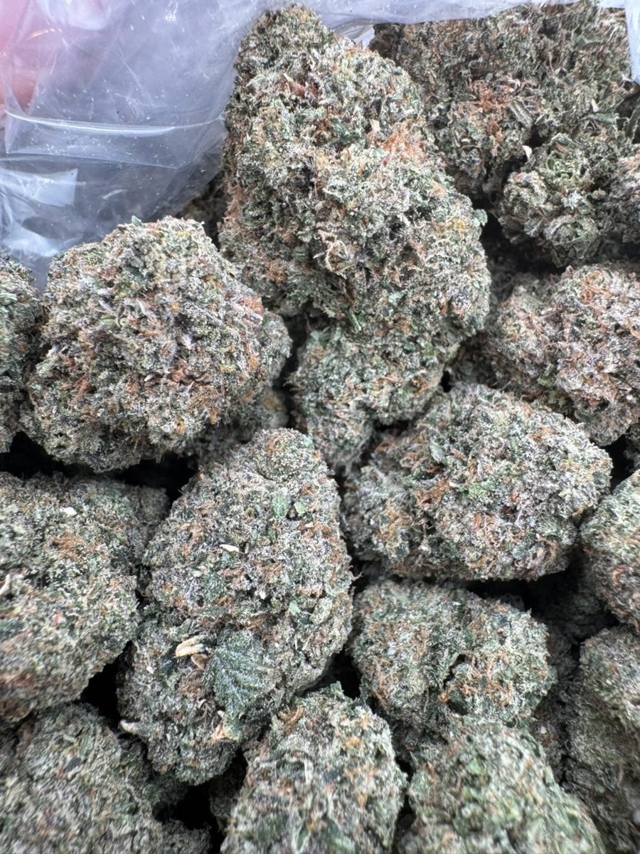 ExoticZaUS's tweet photo. LCG ๐๐๐ฅ sweet citrus and cherry flavors with a creamy, gassy finish. Smooth, uplifting high that fades into a relaxed, euphoric vibe. #LCG #LemonCherryGelato #ExoticSmoke https://t.co/fptQf4hmUS