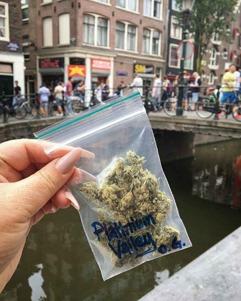 International Highlife tweet media