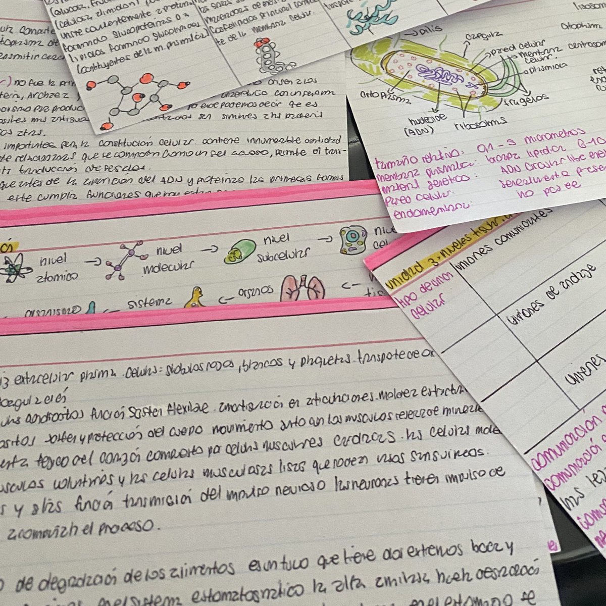 Anajuferci tweet media