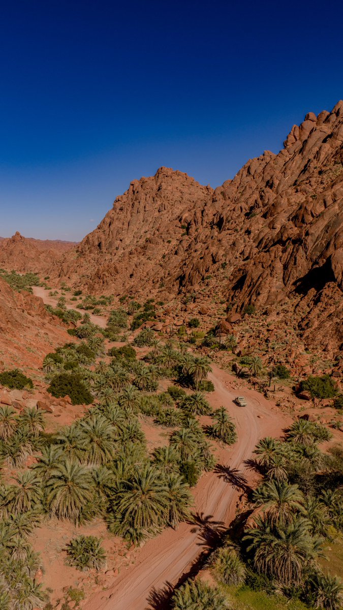 أمانة منطقة حائل tweet media