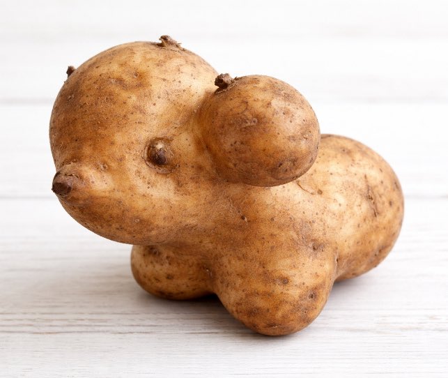 スマイルくん(Smile) tweet media