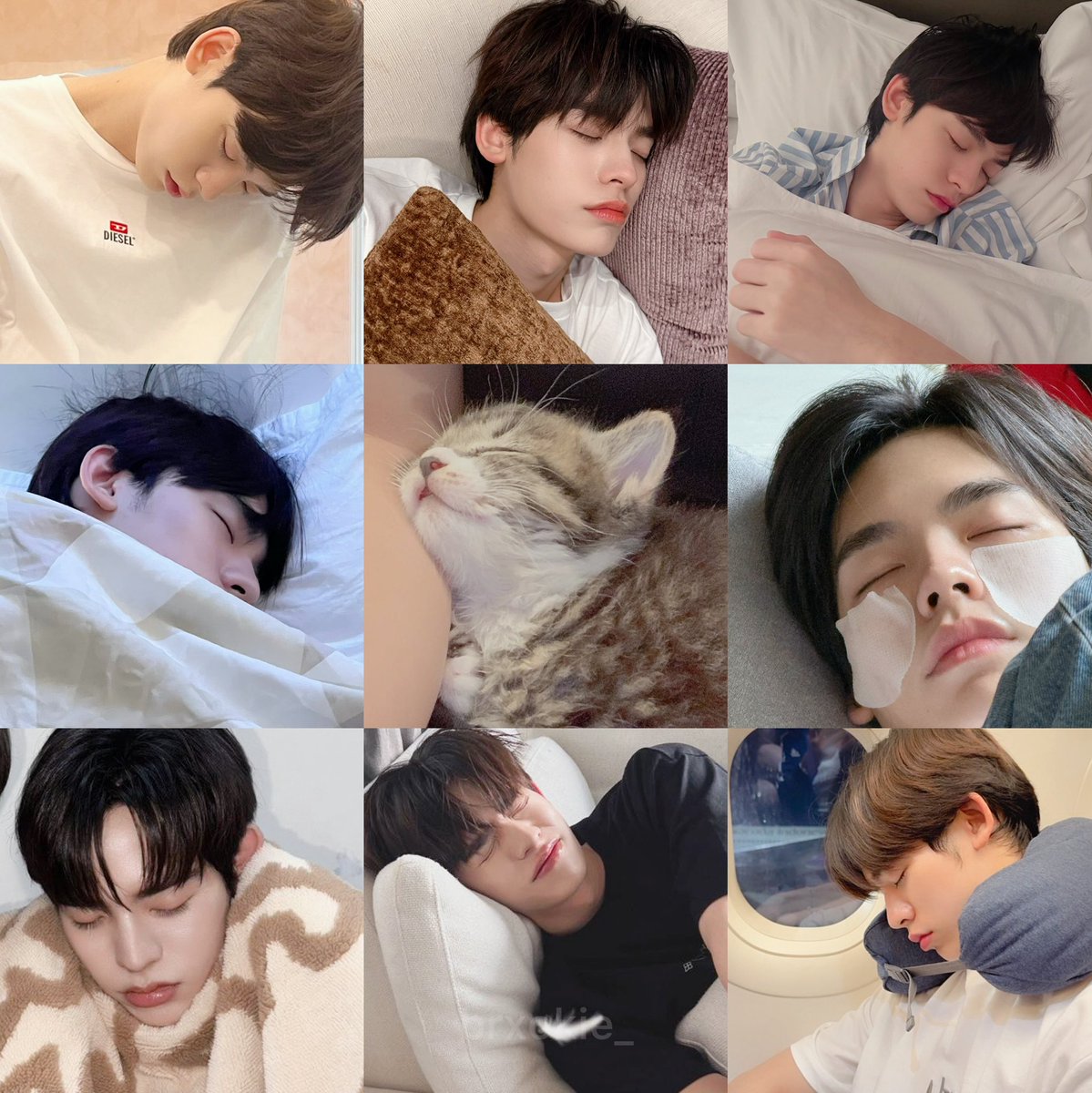 Meaw ⋆𐙚₊˚ tweet media