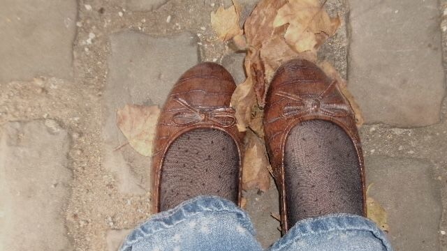 anika 🦌 tweet media