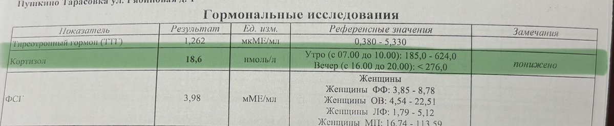 сучий пудинг tweet media