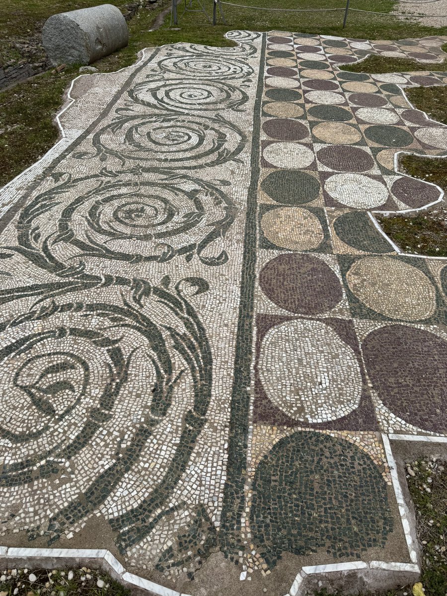 所长 🇺🇸🏳️‍🌈 tweet media