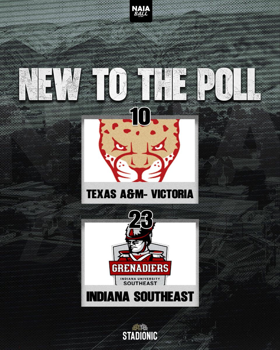 NAIA Ball tweet media