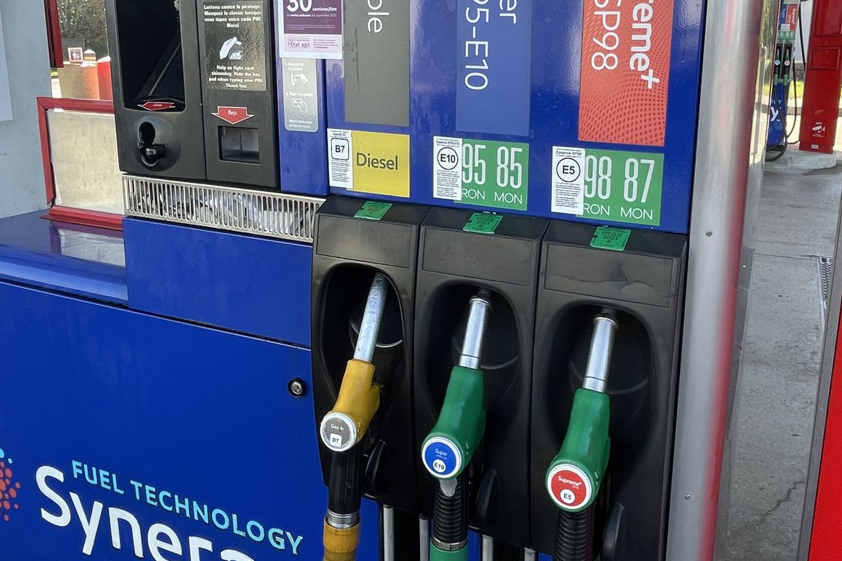 ParisTurf tweet media