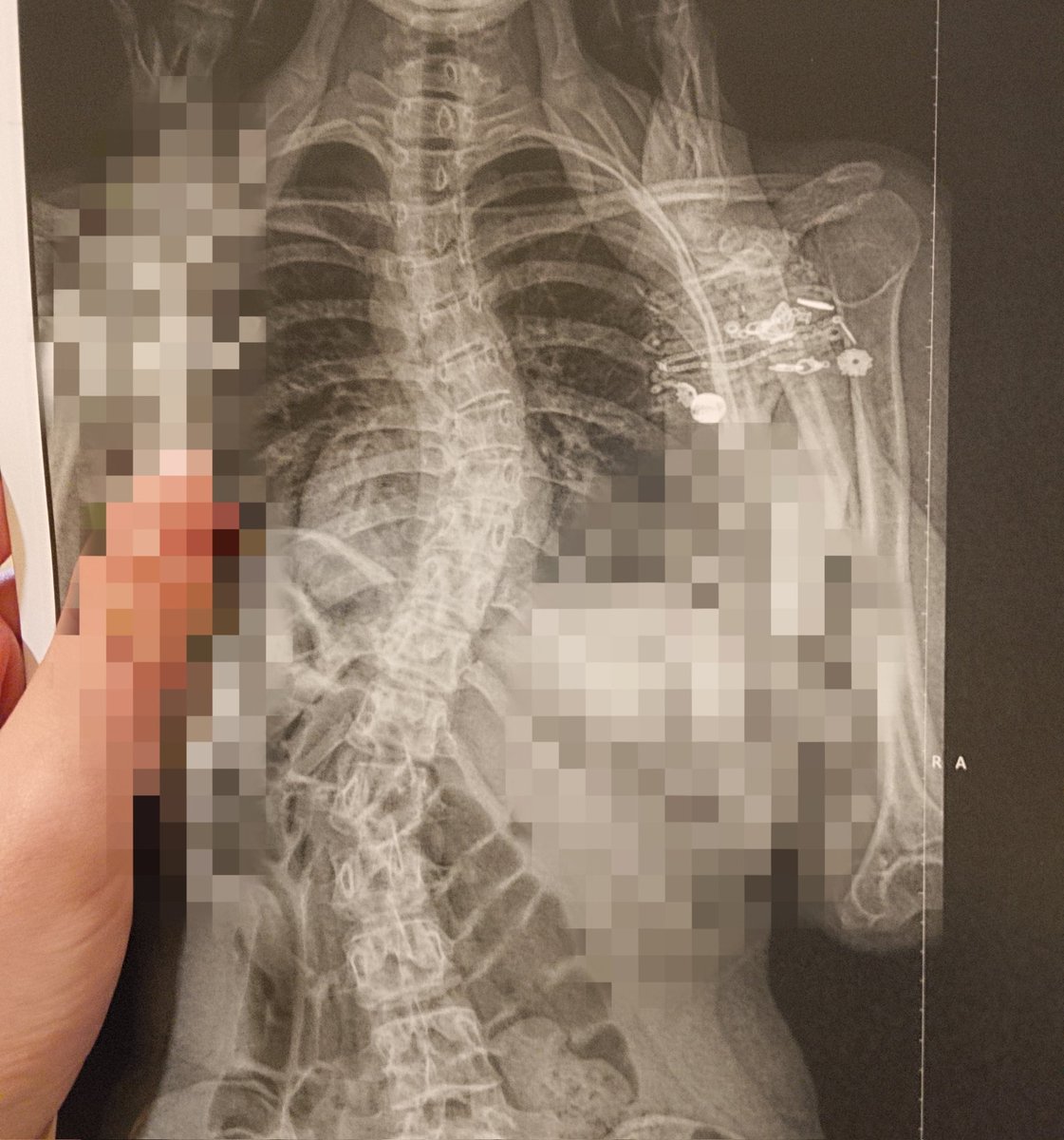 𝚂𝚊𝚛𝚊𝚑 ˚୨୧⋆｡ tweet media