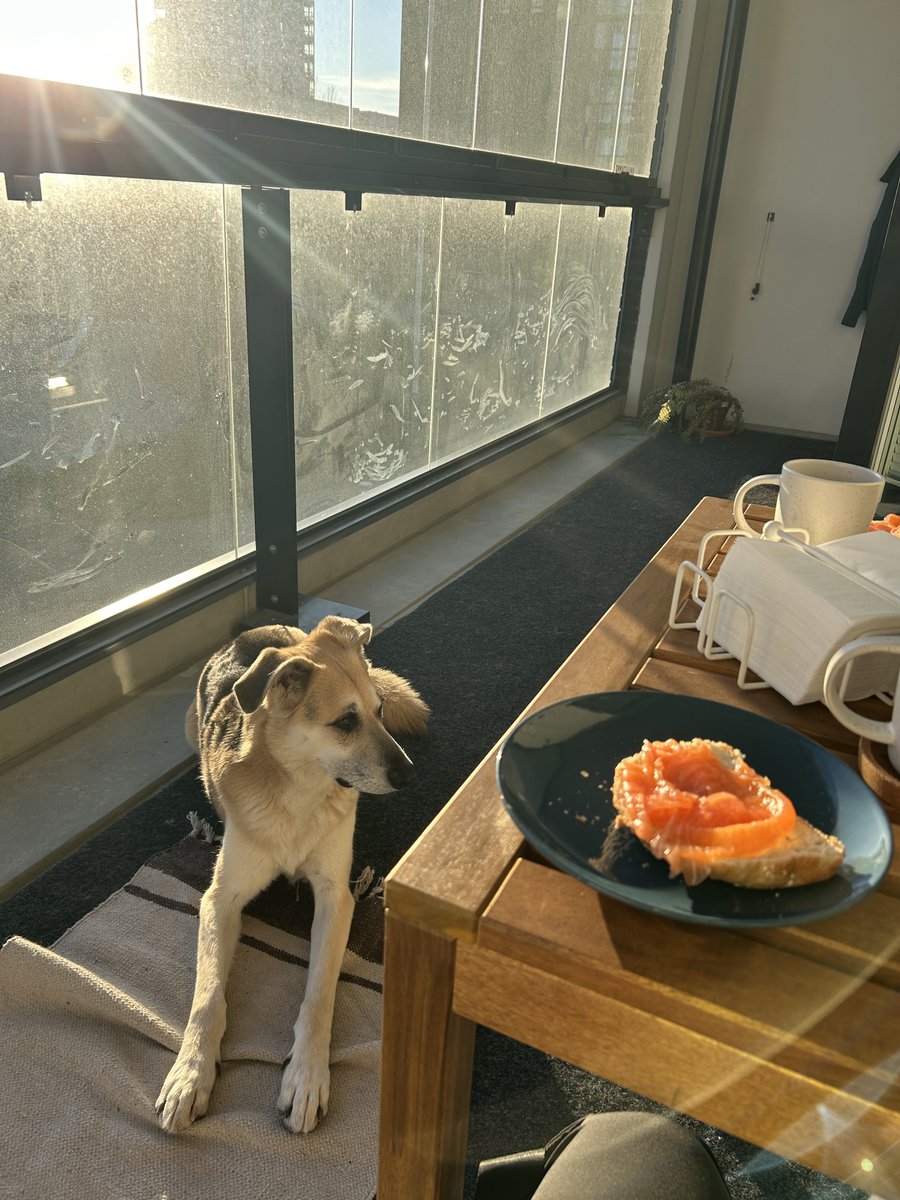 Lena Skissorhands tweet media