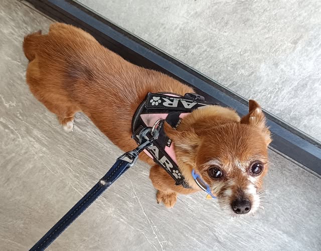 Rubén Durán (Corle) tweet media