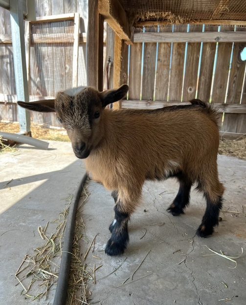 Thodoris Bunuel tweet media