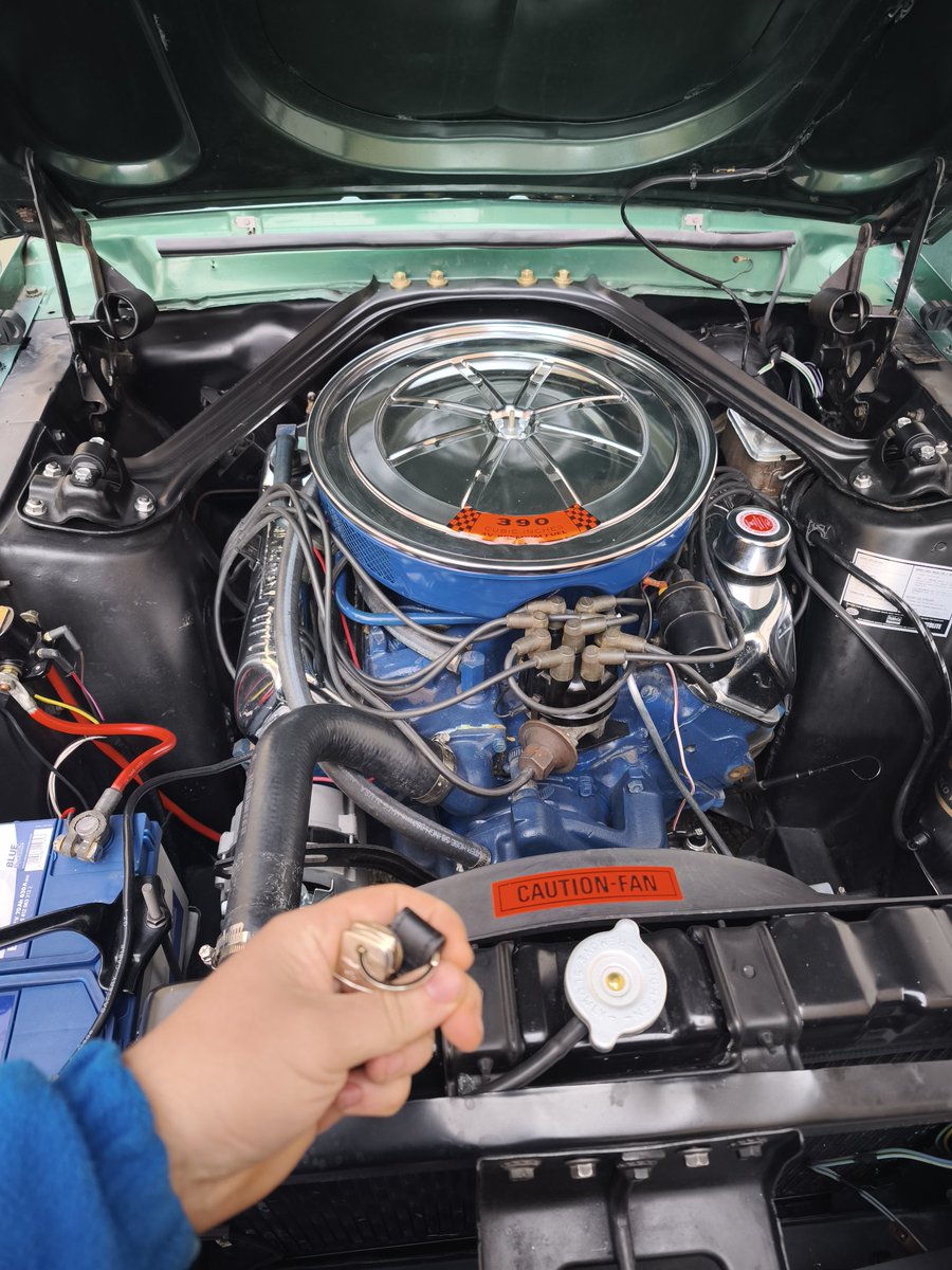 CEOde la petroleocueva🏎️ 🏁 tweet media