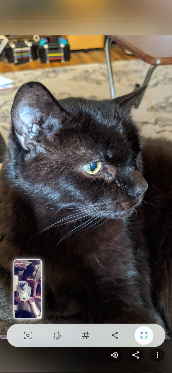 Mary Pat💜Thumb -dade, 🍓Estorb,Alfie tweet media