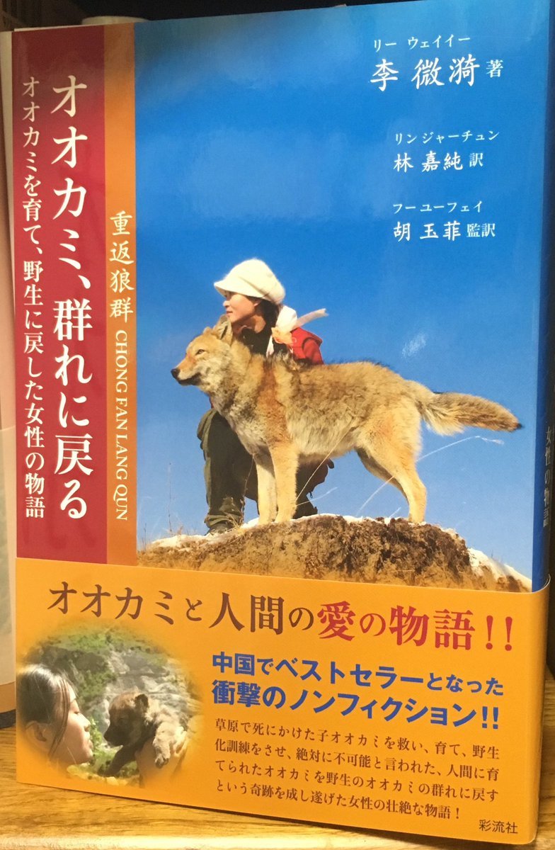 Wolf King（格林） tweet media