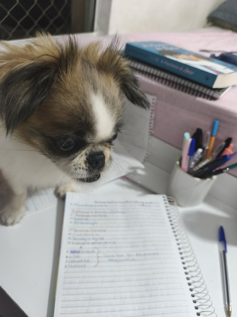 nana • cartomante 🌙 tweet media