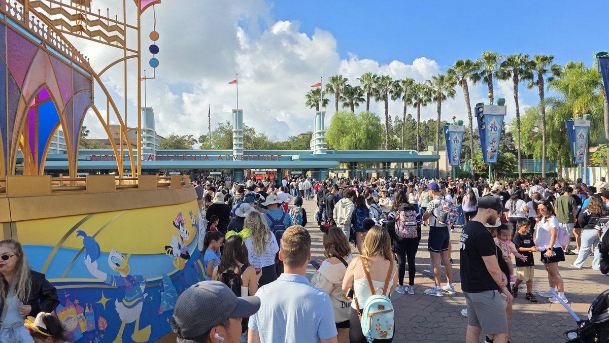 Rob Whiteside tweet media