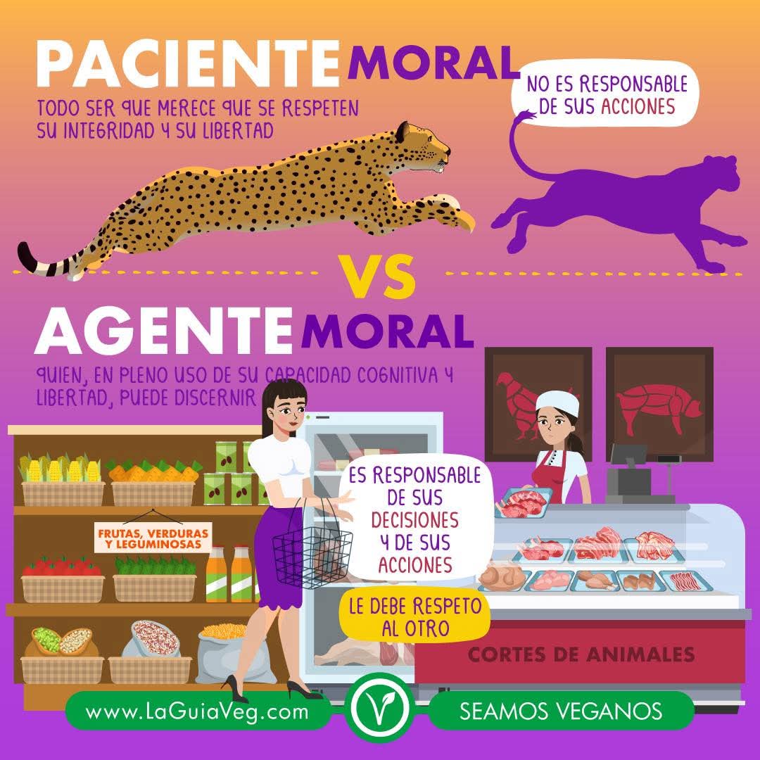 Filosofía Vegana tweet media