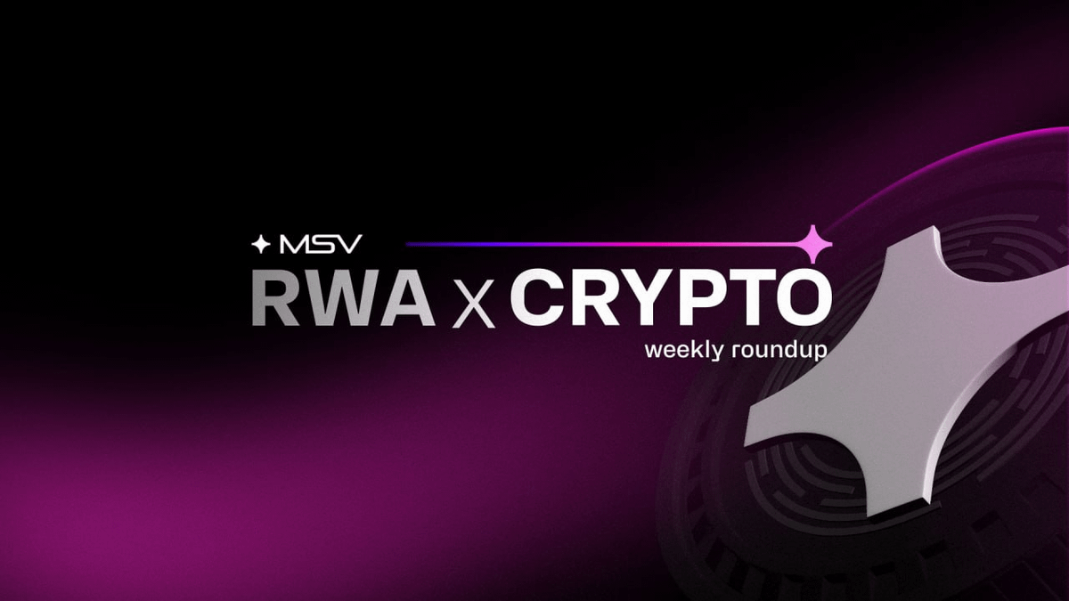 MSV Protocol tweet media