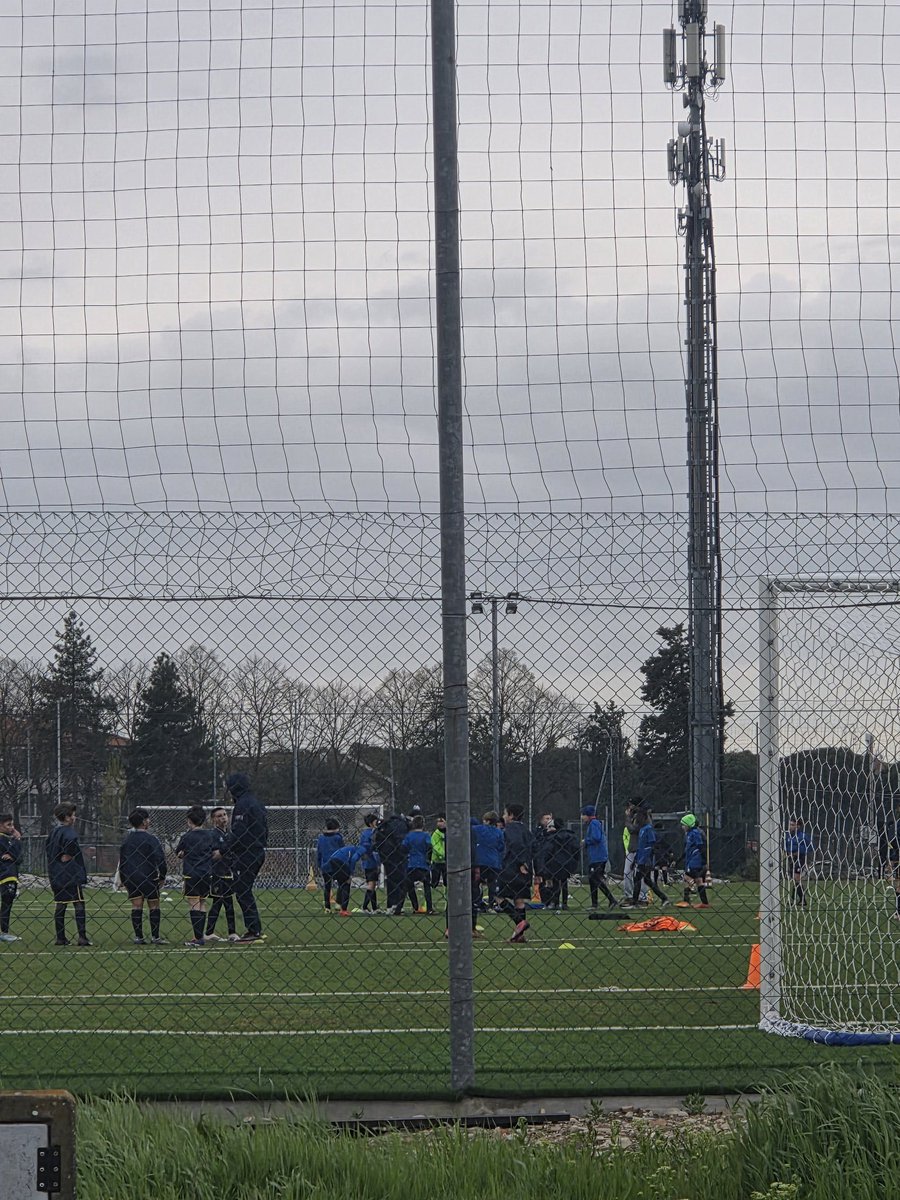 TheTosto 🦖 tweet media