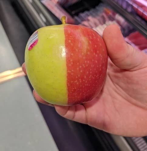 i like food tweet media