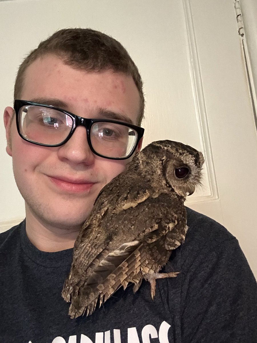 Alexander's Journey tweet media