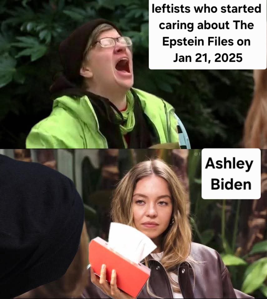 TheRealMF tweet media