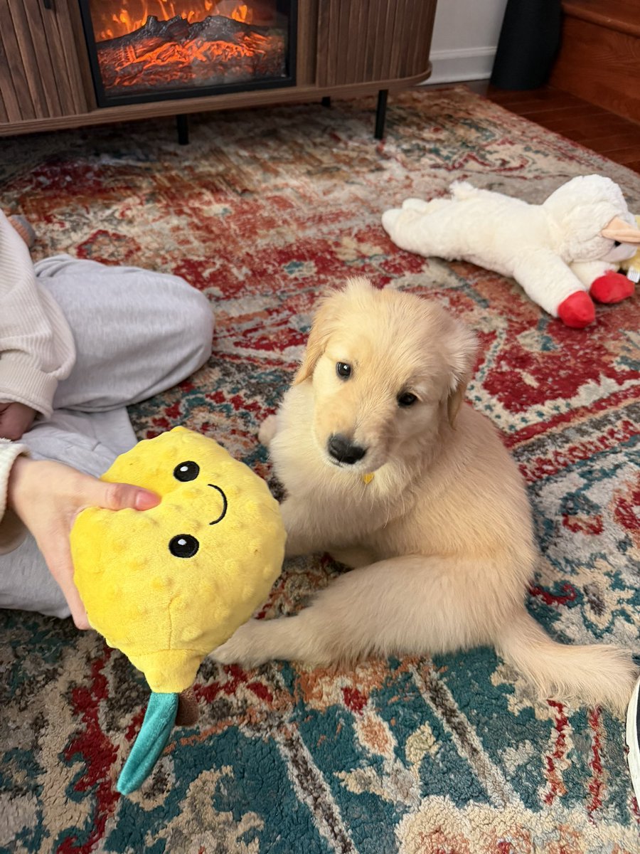 James Santore tweet media