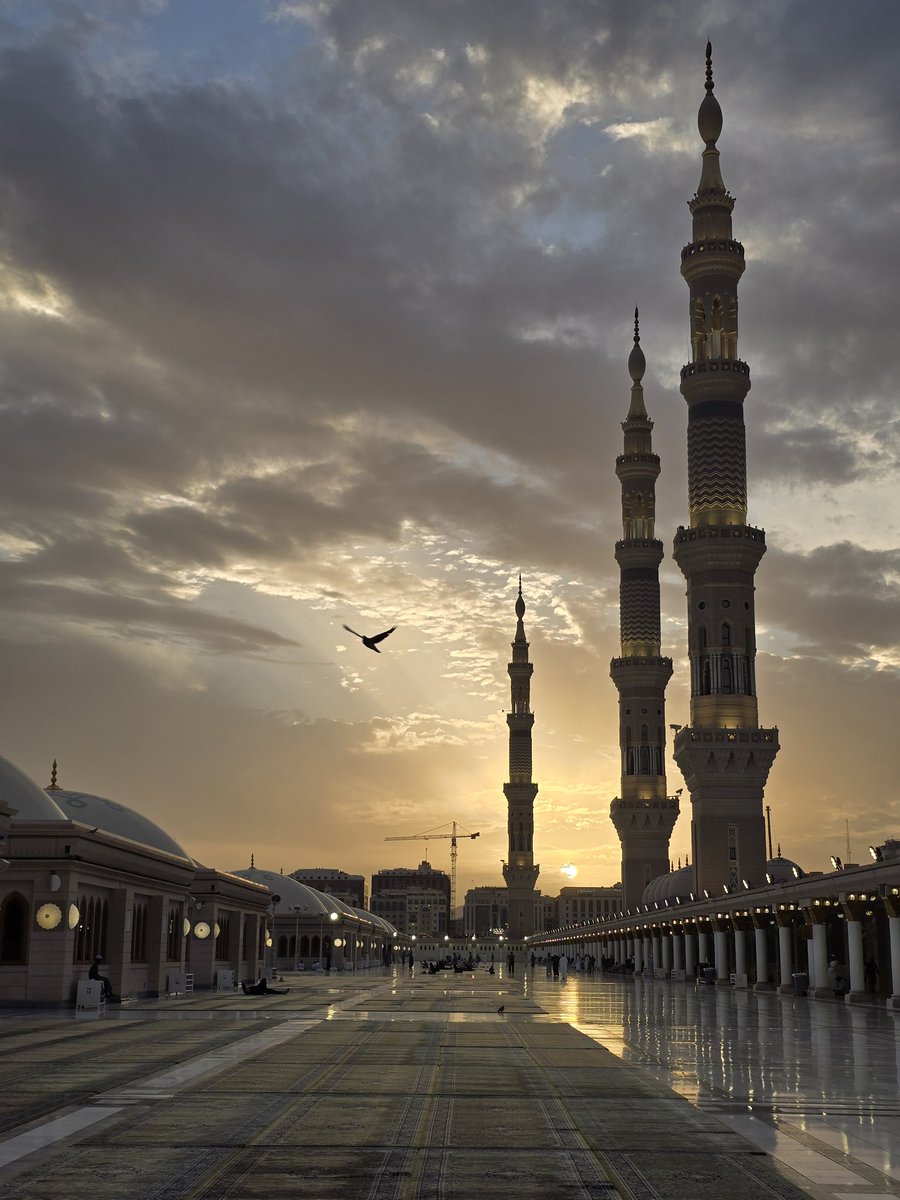 Madinah Files tweet media