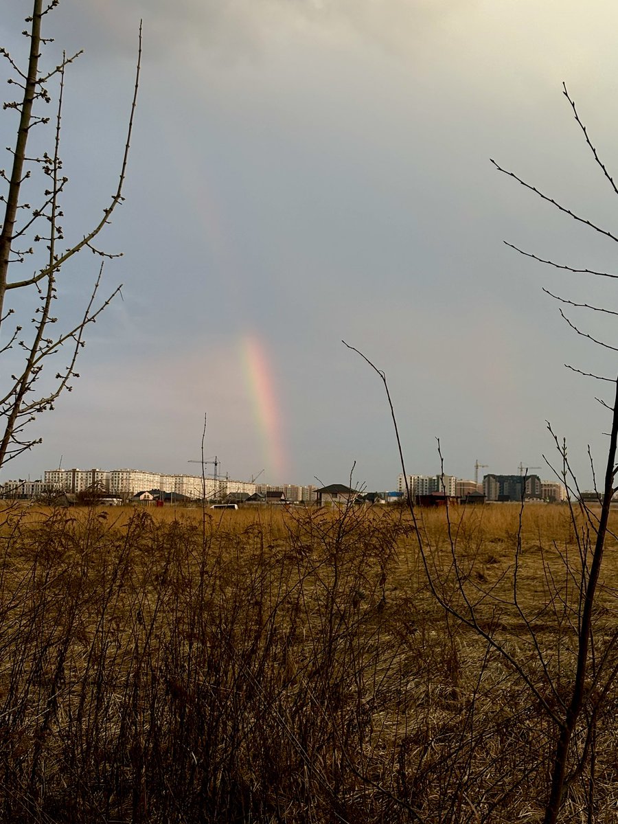angelshalagina's tweet photo. Today I saw a rainbow in the sky.

And for a moment…
Everything felt quieter inside me.

Like the world was whispering:
Not everything is broken.

It felt like hope.
Simple. Silent. Real.

Like one day…
Everything will be okay.

Not today.
Not yet.

But one day.

We just have to stay alive
Long enough to see it.