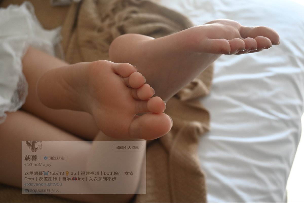 朝暮 tweet media