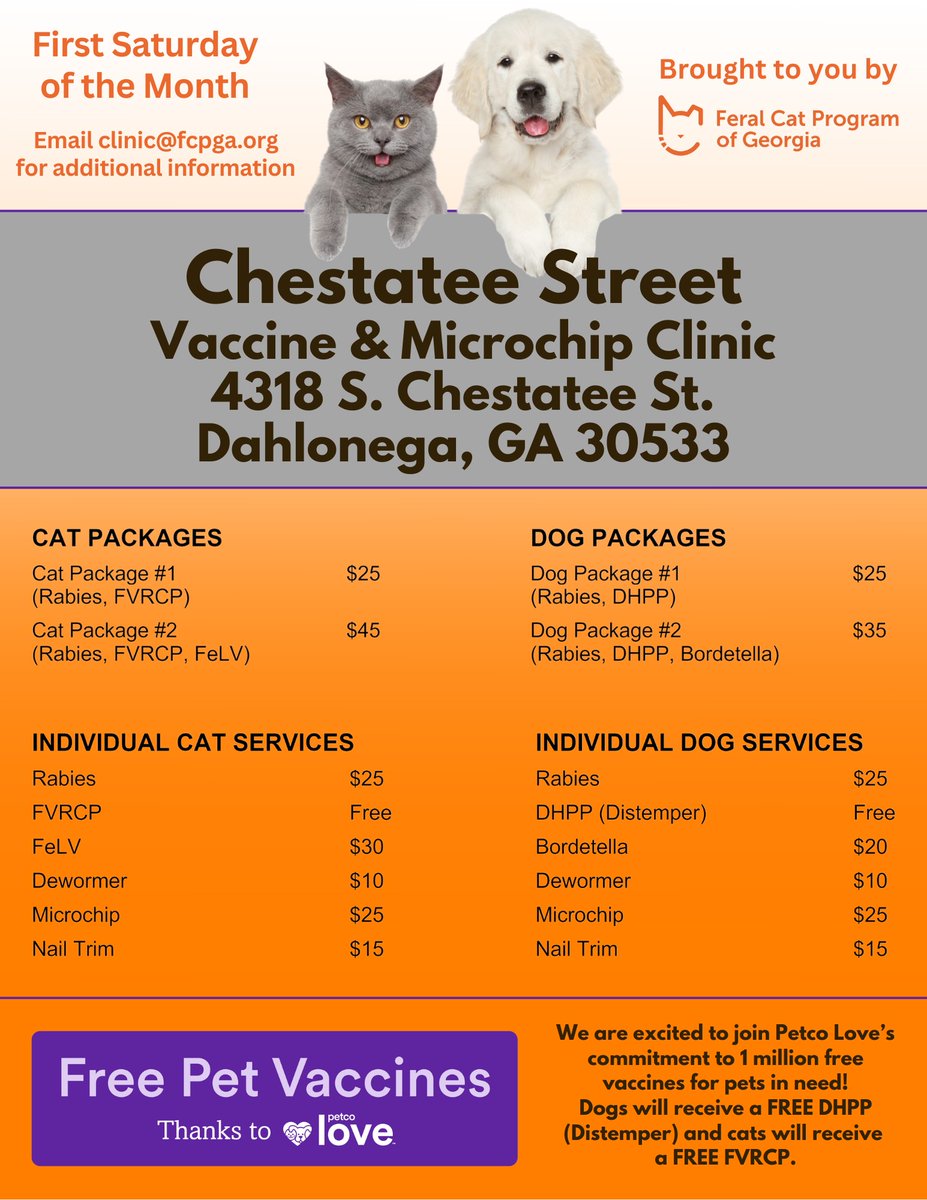 FeralCatProgramGA tweet media